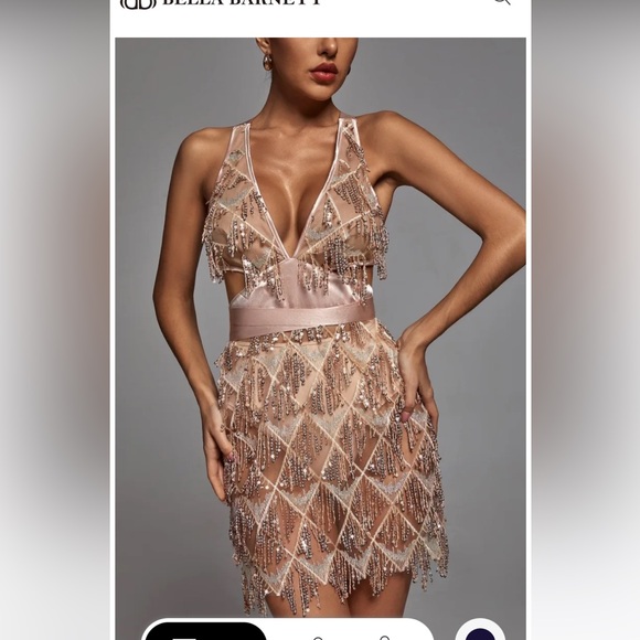 COPY - BNWT Bella Barnett Louisa Mini Dress Champagne Sz S - Picture 2 of 6